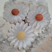Load image into Gallery viewer, Selenite Daisies