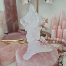 Load image into Gallery viewer, Clear Quartz Skeleton