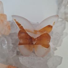 Load image into Gallery viewer, Golden Healer Butterfly