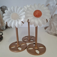 Load image into Gallery viewer, Selenite Daisies on Stand
