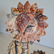 Load image into Gallery viewer, Crazy Lace Agate Sunflowers on Stand