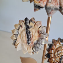 Load image into Gallery viewer, Crazy Lace Agate Sunflowers on Stand