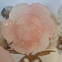 Load image into Gallery viewer, Rose Quartz Rose with Stand