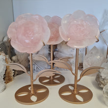 Load image into Gallery viewer, Rose Quartz Rose with Stand