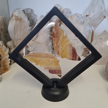 Load image into Gallery viewer, Yellow Fluorite Boxed Butterfly Wings