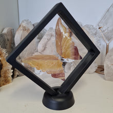 Load image into Gallery viewer, Yellow Fluorite Boxed Butterfly Wings