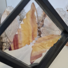 Load image into Gallery viewer, Yellow Fluorite Boxed Butterfly Wings