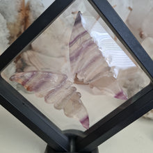 Load image into Gallery viewer, Rainbow Fluorite Boxed Butterfly Wings
