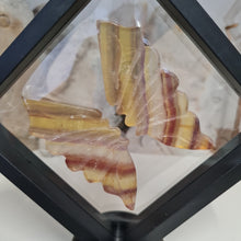 Load image into Gallery viewer, Yellow Fluorite Boxed Butterfly Wings
