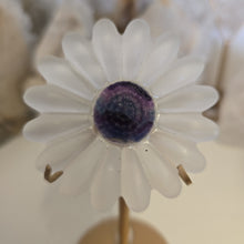Load image into Gallery viewer, Selenite Daisies on Stand