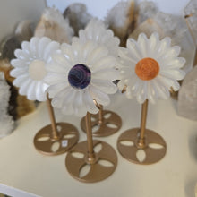Load image into Gallery viewer, Selenite Daisies on Stand