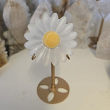 Load image into Gallery viewer, Selenite Daisies on Stand