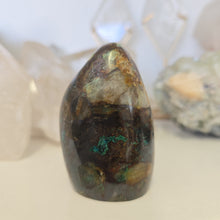 Load image into Gallery viewer, Quantum Quattro Freeform