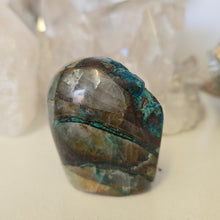 Load image into Gallery viewer, Quantum Quattro Freeform