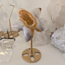 Load image into Gallery viewer, Druzy Agate Starfish on Stand