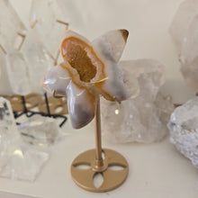 Load image into Gallery viewer, Druzy Agate Starfish on Stand