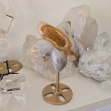 Load image into Gallery viewer, Druzy Agate Starfish on Stand