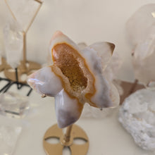 Load image into Gallery viewer, Druzy Agate Starfish on Stand