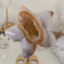 Load image into Gallery viewer, Druzy Agate Starfish on Stand