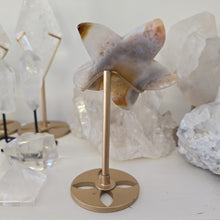 Load image into Gallery viewer, Druzy Agate Starfish on Stand