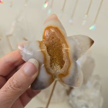 Load image into Gallery viewer, Druzy Agate Starfish on Stand