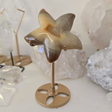 Load image into Gallery viewer, Druzy Agate Starfish on Stand