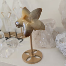 Load image into Gallery viewer, Druzy Agate Starfish on Stand