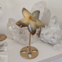 Load image into Gallery viewer, Druzy Agate Starfish on Stand