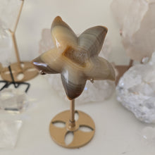 Load image into Gallery viewer, Druzy Agate Starfish on Stand