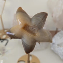Load image into Gallery viewer, Druzy Agate Starfish on Stand