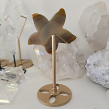 Load image into Gallery viewer, Druzy Agate Starfish on Stand