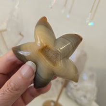 Load image into Gallery viewer, Druzy Agate Starfish on Stand