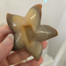 Load image into Gallery viewer, Druzy Agate Starfish on Stand