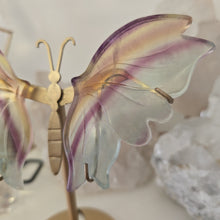 Load image into Gallery viewer, Fluorite Butterfly Wings