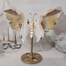 Load image into Gallery viewer, Yellow Calcite Butterfly Wings