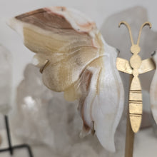 Load image into Gallery viewer, Yellow Calcite Butterfly Wings