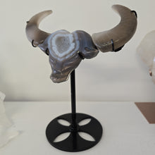 Load image into Gallery viewer, Druzy Agate Buffalo Head on Stand