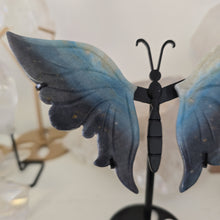 Load image into Gallery viewer, Trolleite Butterfly Wings