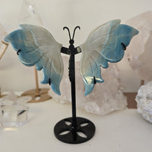 Load image into Gallery viewer, Trolleite Butterfly Wings