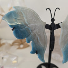 Load image into Gallery viewer, Trolleite Butterfly Wings