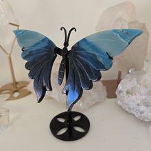 Load image into Gallery viewer, Trolleite Butterfly Wings