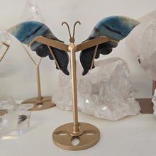Load image into Gallery viewer, Trolleite Butterfly Wings