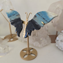 Load image into Gallery viewer, Trolleite Butterfly Wings