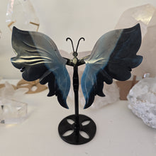Load image into Gallery viewer, Trolleite Butterfly Wings