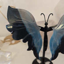 Load image into Gallery viewer, Trolleite Butterfly Wings