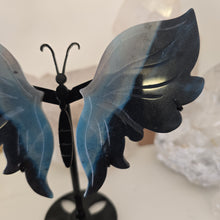 Load image into Gallery viewer, Trolleite Butterfly Wings