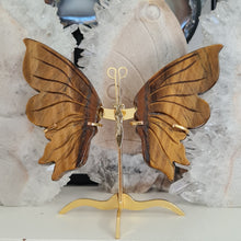 Load image into Gallery viewer, Tiger Eye Butterfly with Stand