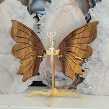 Load image into Gallery viewer, Tiger Eye Butterfly with Stand