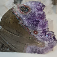 Load image into Gallery viewer, Amethyst Cluster Mermaid with Stalactite