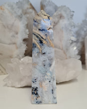 Load image into Gallery viewer, Dendritic Agate Tower
